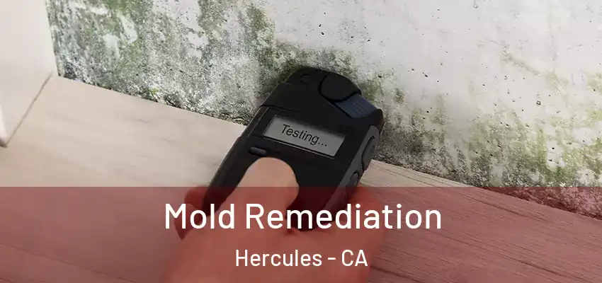 Mold Remediation Hercules - CA