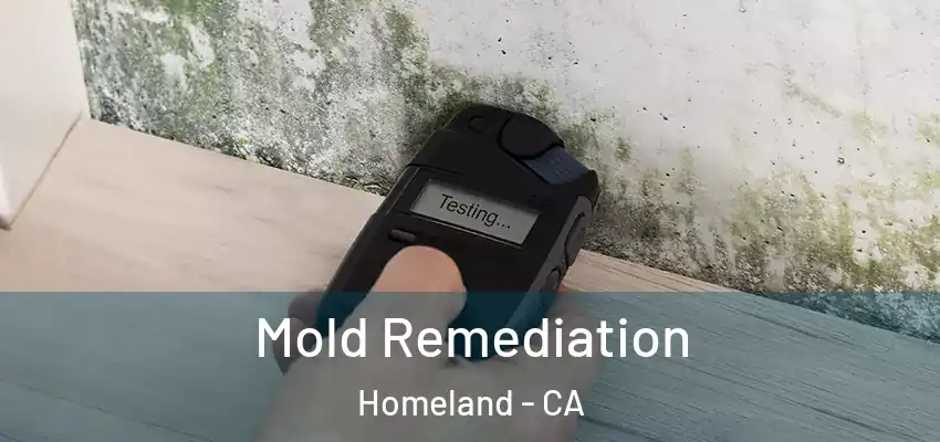  Mold Remediation Homeland - CA