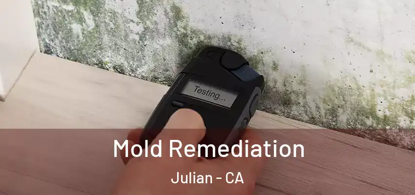  Mold Remediation Julian - CA