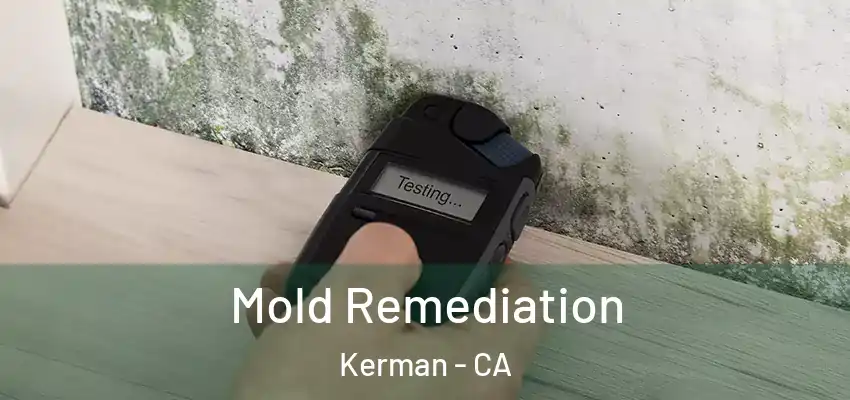  Mold Remediation Kerman - CA