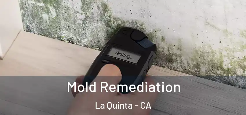  Mold Remediation La Quinta - CA