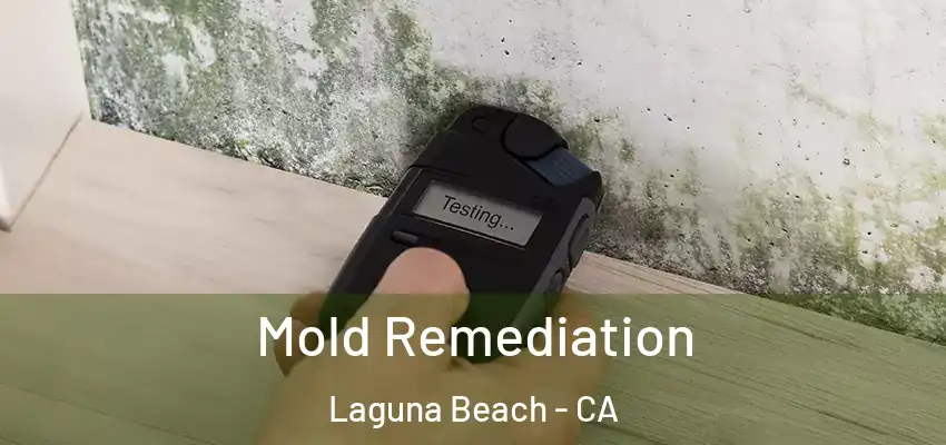  Mold Remediation Laguna Beach - CA