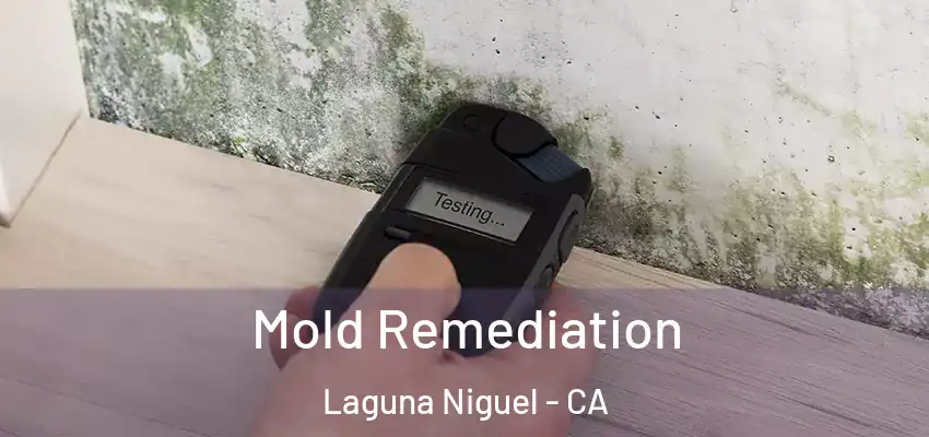  Mold Remediation Laguna Niguel - CA