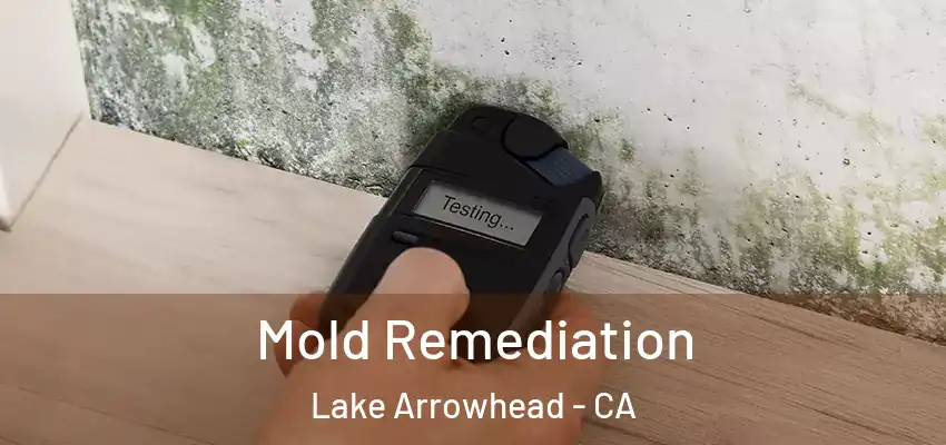 Mold Remediation Lake Arrowhead - CA