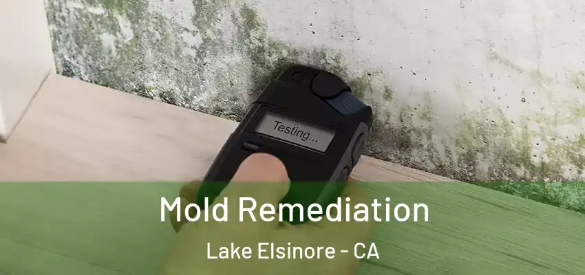  Mold Remediation Lake Elsinore - CA