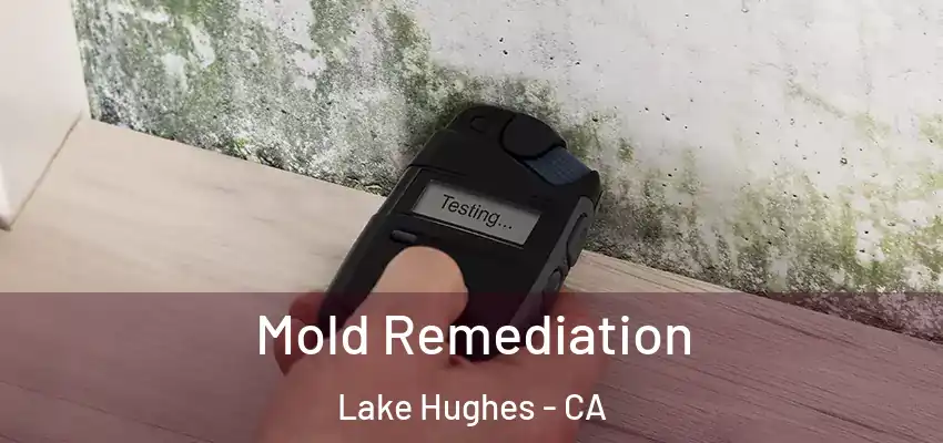  Mold Remediation Lake Hughes - CA