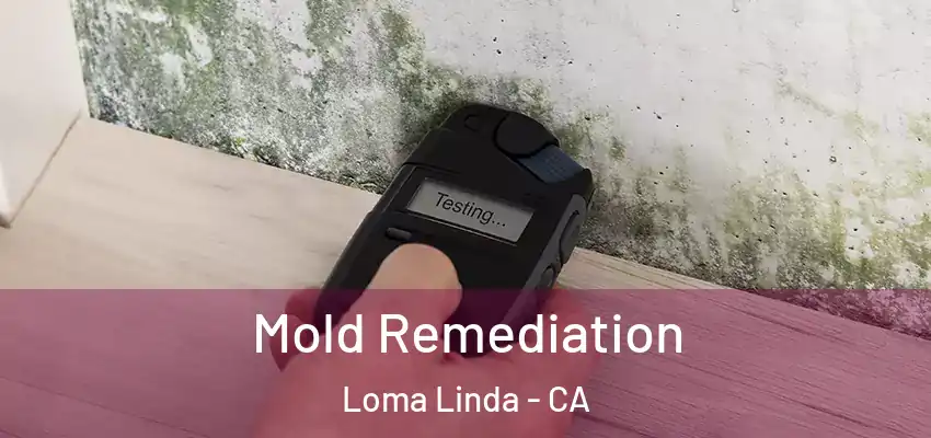  Mold Remediation Loma Linda - CA