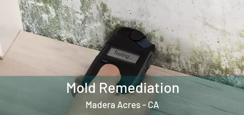  Mold Remediation Madera Acres - CA