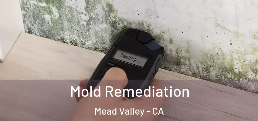  Mold Remediation Mead Valley - CA