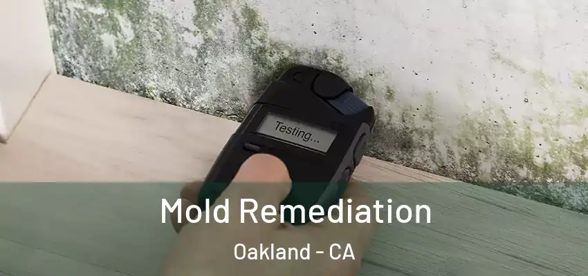  Mold Remediation Oakland - CA