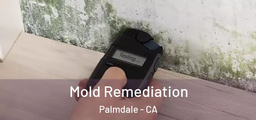  Mold Remediation Palmdale - CA