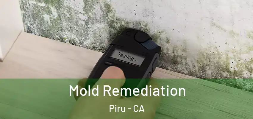 Mold Remediation Piru - CA