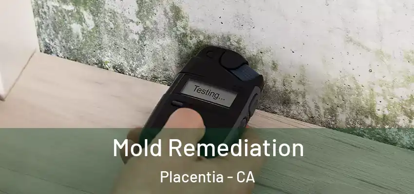 Mold Remediation Placentia - CA