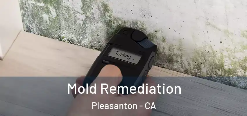 Mold Remediation Pleasanton - CA