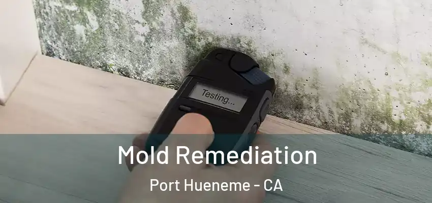 Mold Remediation Port Hueneme - CA