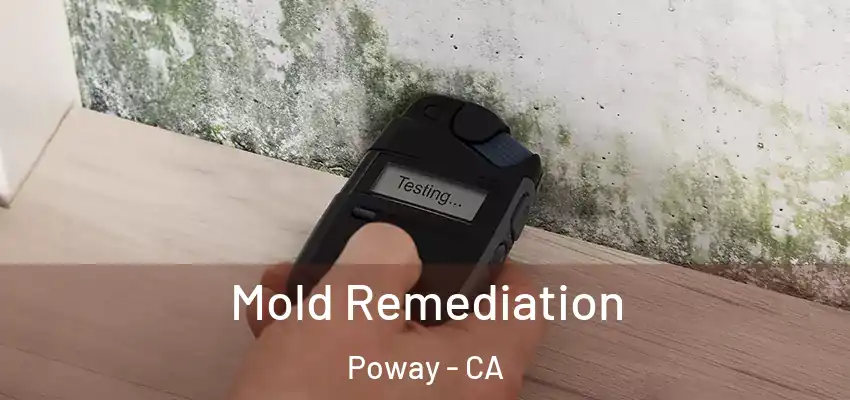  Mold Remediation Poway - CA