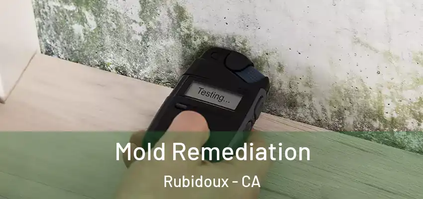 Mold Remediation Rubidoux - CA
