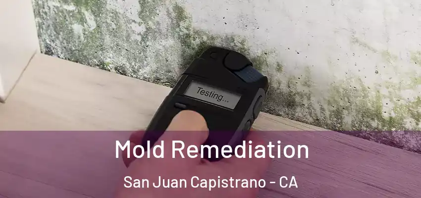  Mold Remediation San Juan Capistrano - CA