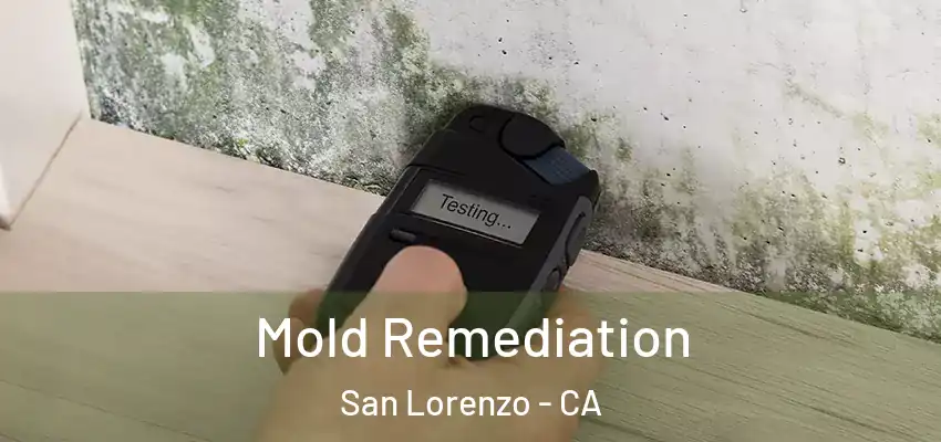 Mold Remediation San Lorenzo - CA