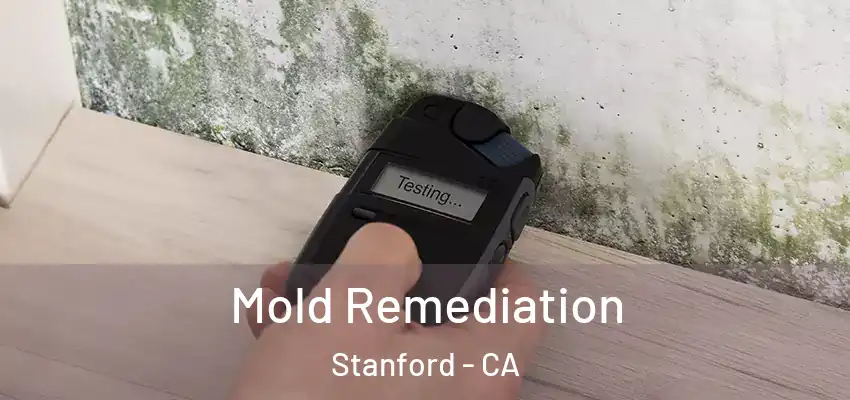  Mold Remediation Stanford - CA