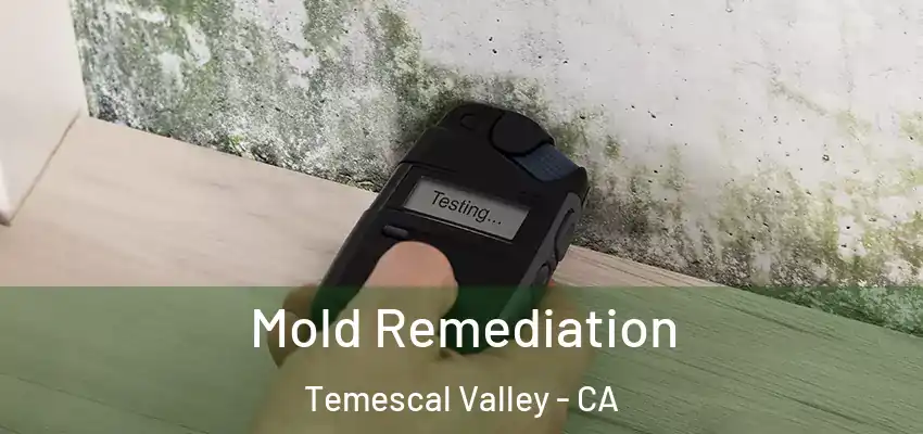 Mold Remediation Temescal Valley - CA
