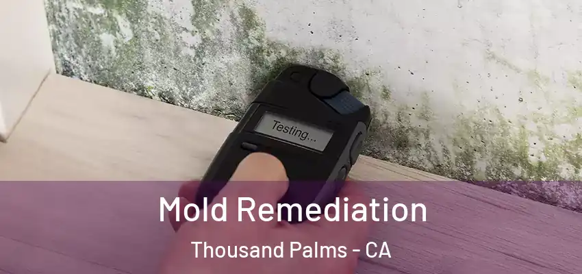  Mold Remediation Thousand Palms - CA
