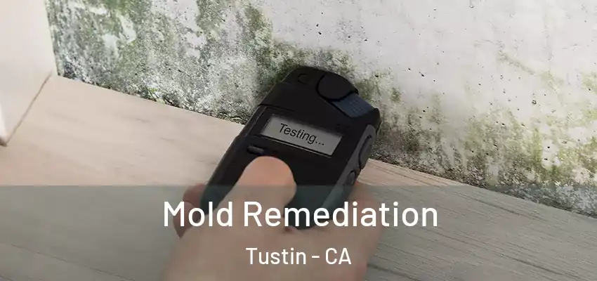  Mold Remediation Tustin - CA