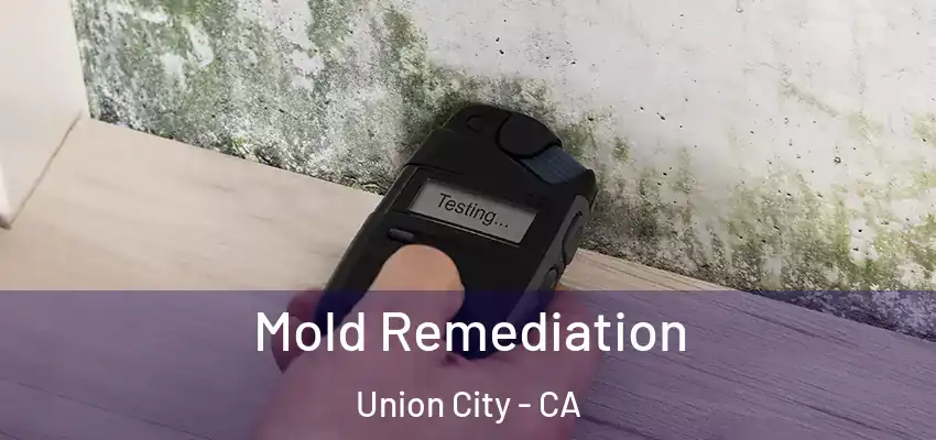 Mold Remediation Union City - CA