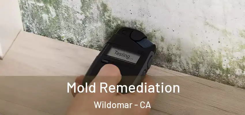 Mold Remediation Wildomar - CA