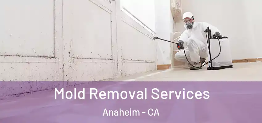  Mold Removal Services Anaheim - CA