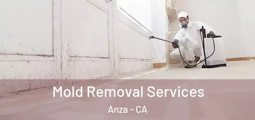 Mold Removal Services Anza - CA