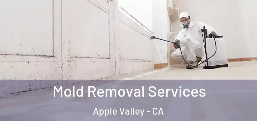  Mold Removal Services Apple Valley - CA