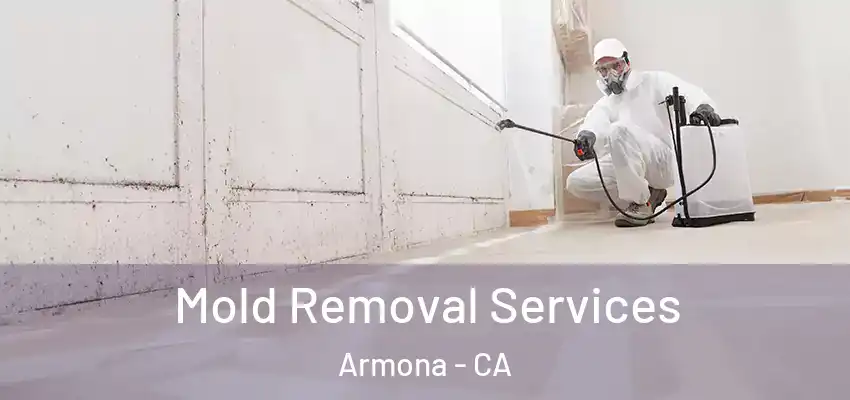  Mold Removal Services Armona - CA