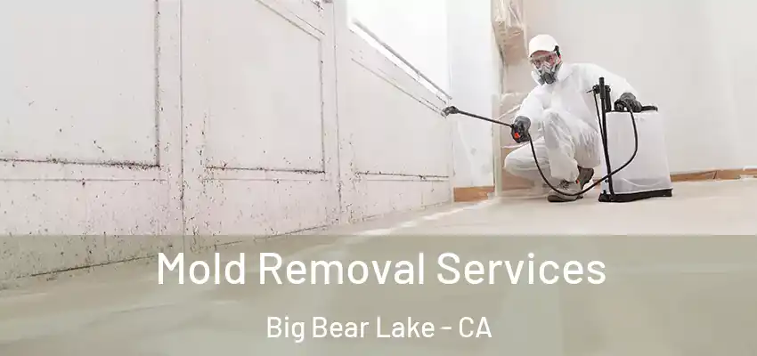  Mold Removal Services Big Bear Lake - CA