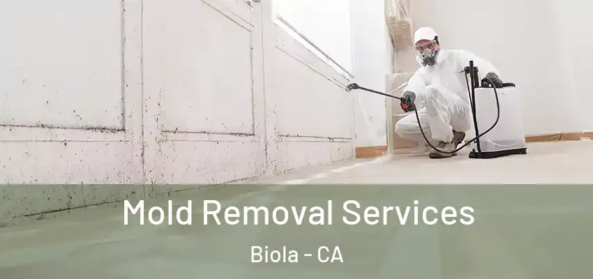 Mold Removal Services Biola - CA