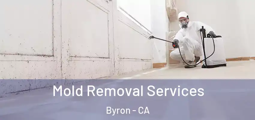 Mold Removal Services Byron - CA
