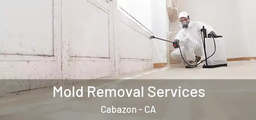 Mold Removal Services Cabazon - CA