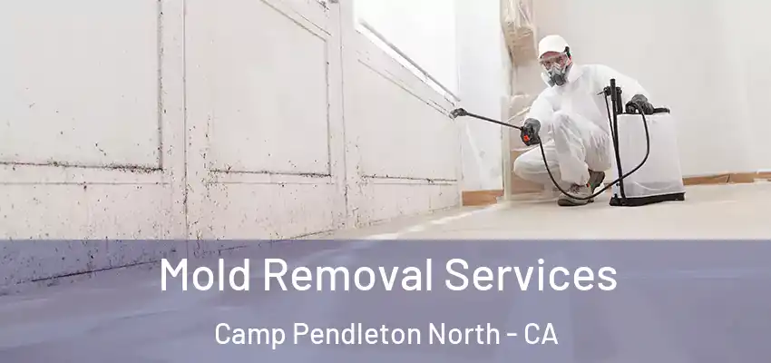  Mold Removal Services Camp Pendleton North - CA