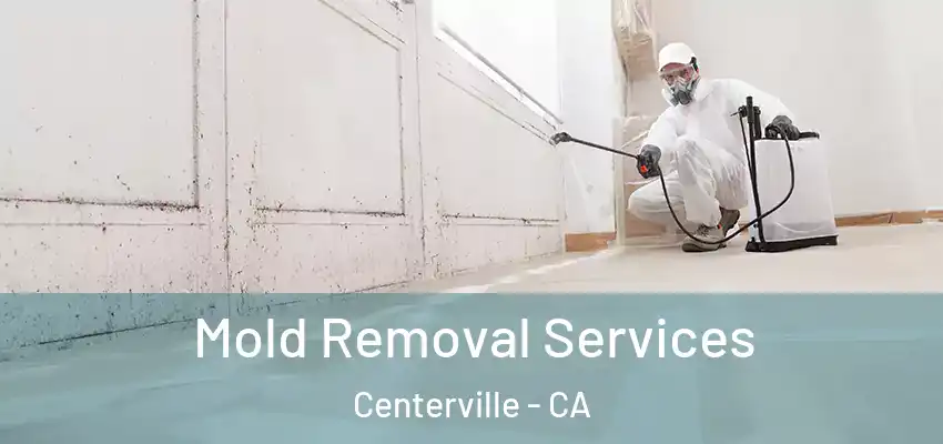  Mold Removal Services Centerville - CA