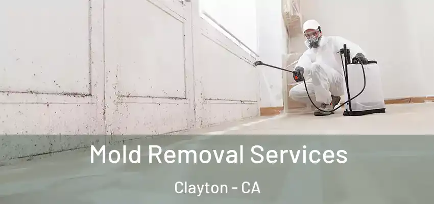  Mold Removal Services Clayton - CA