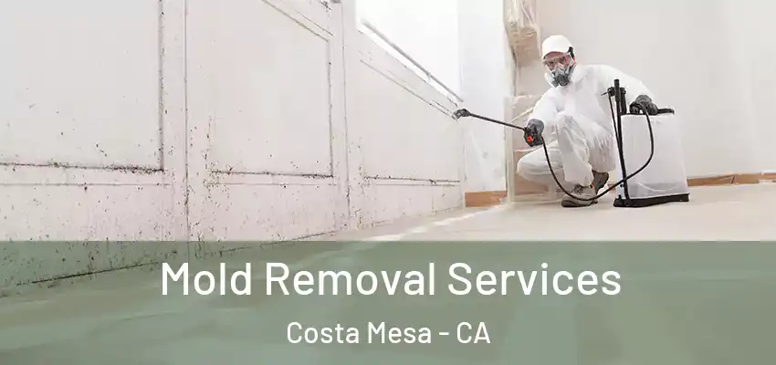 Mold Removal Services Costa Mesa - CA