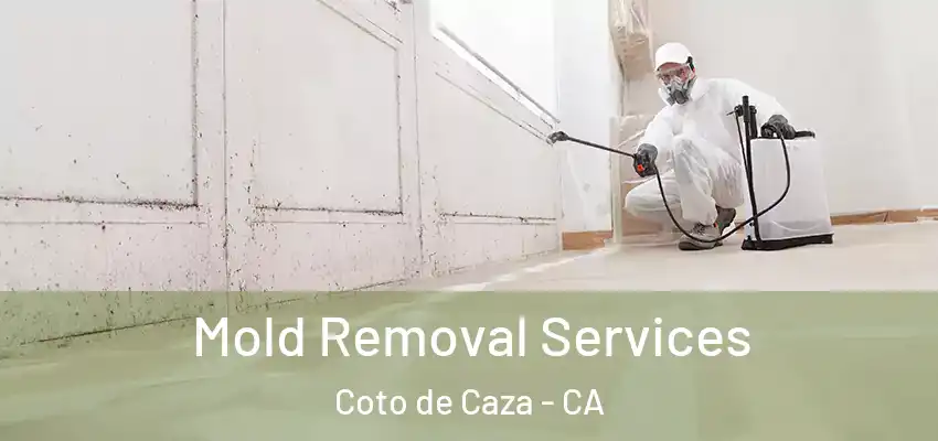  Mold Removal Services Coto de Caza - CA