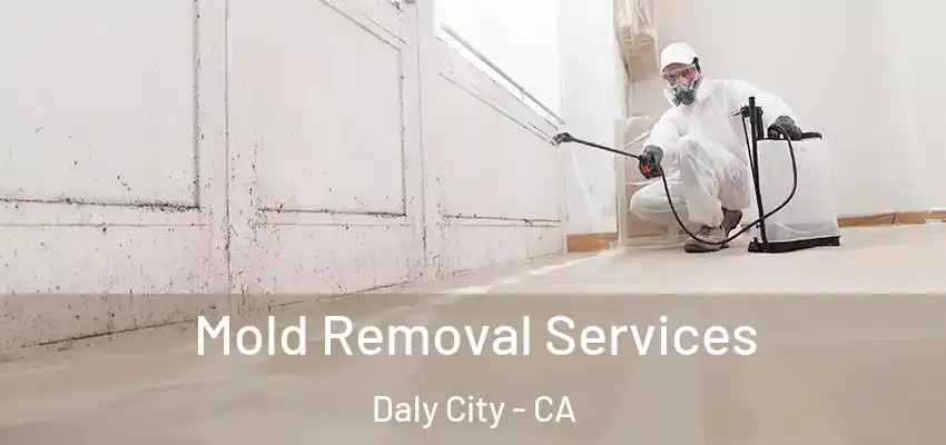 Mold Removal Services Daly City - CA