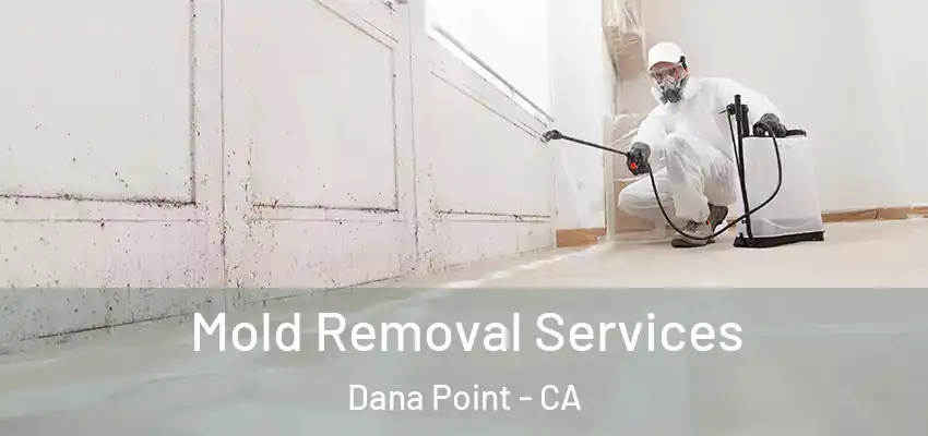 Mold Removal Services Dana Point - CA