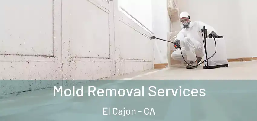  Mold Removal Services El Cajon - CA