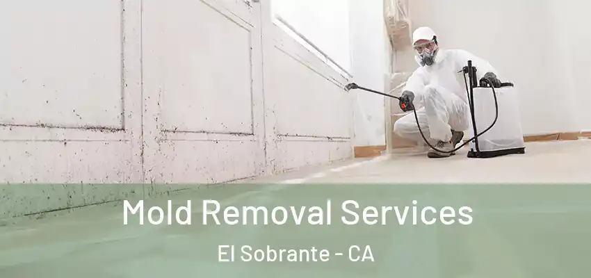  Mold Removal Services El Sobrante - CA