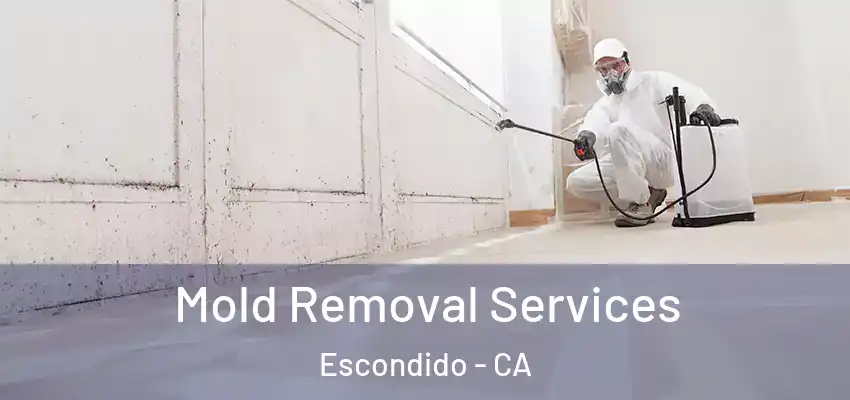 Mold Removal Services Escondido - CA