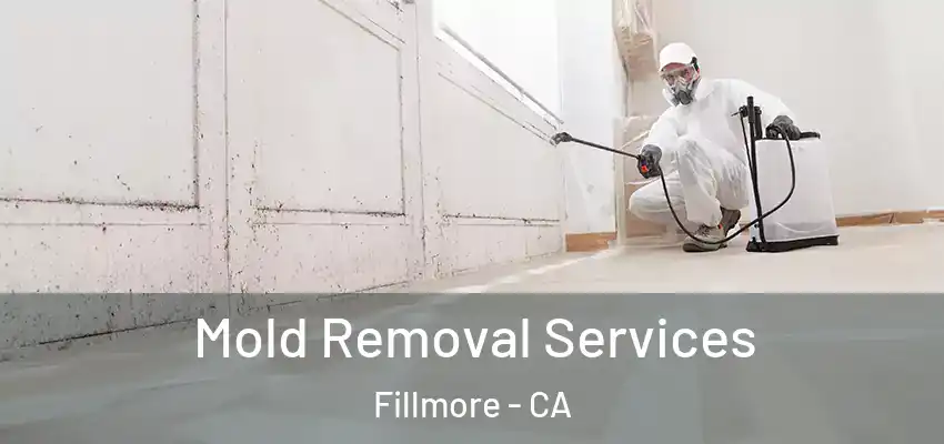  Mold Removal Services Fillmore - CA