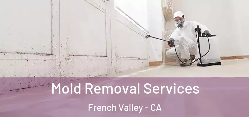  Mold Removal Services French Valley - CA