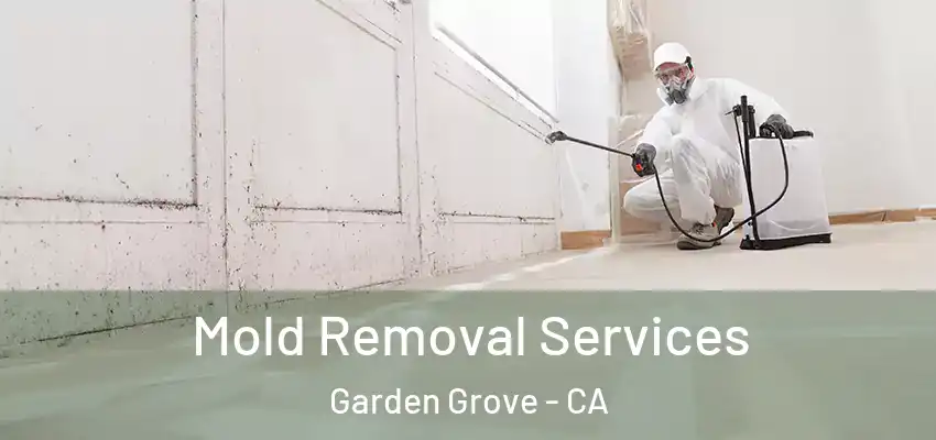  Mold Removal Services Garden Grove - CA